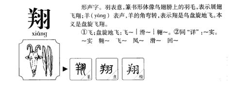 翔的五行|翔的意思，翔字的意思